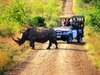 Hluhluwe Lodge - Game Drive 